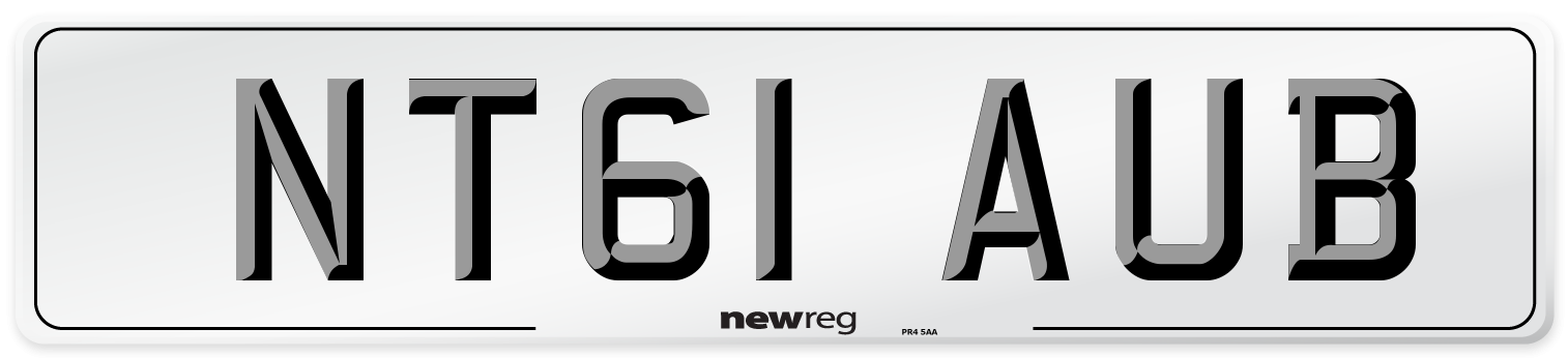 NT61 AUB Number Plate from New Reg